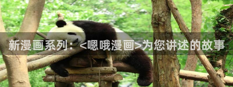 香香漫画官方版正版