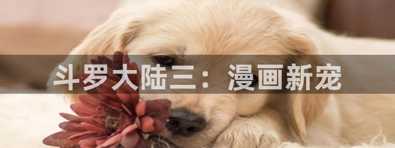 香香漫画官网入口